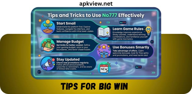 TIPS FOR BIG WIN